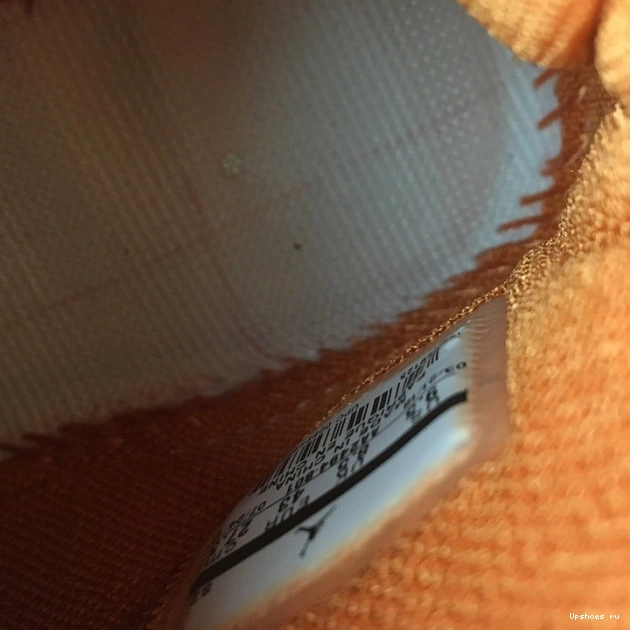 Retro Campfire AA2494-801 18 Orange  Jordan 0420